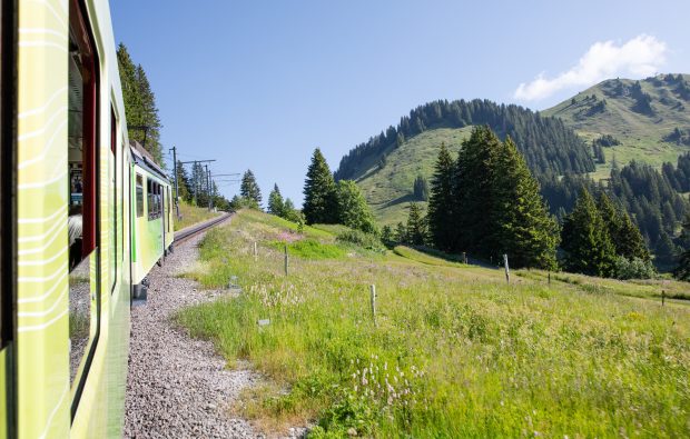 bvb_train_montee